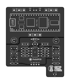 Terrarium SE (GuitarPedalCourse.com Edition)